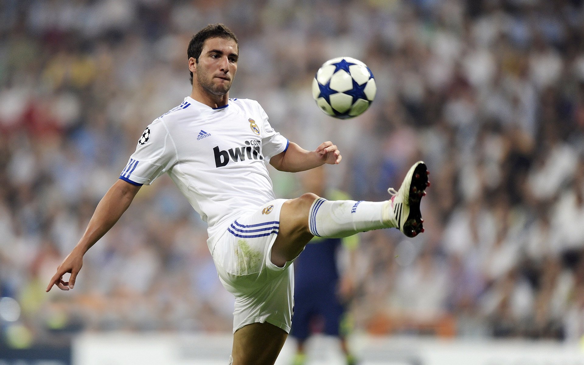 公牛队击败劲敌,士气大振,公牛队集锦